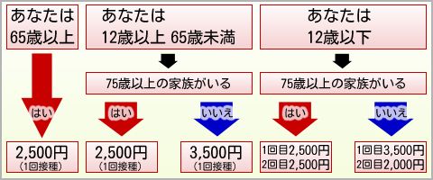 あなたが65歳以上の場合→2,500円(1回接種)、あなたが12歳以上65歳未満で、75歳以上の同居家族がいる場合→2,500円(1回接種)、いない場合→3,500円(1回接種)、あなたが12歳以下で、75歳以上の同居家族がいる場合→1回目・2回目ともに2,500円、いない場合→1回目3,500円、2回目2,000円 あなたが65歳以上の場合→2,500円(1回接種)、あなたが12歳以上65歳未満で、75歳以上の同居家族がいる場合→2,500円(1回接種)、いない場合→3,500円(1回接種)、あなたが12歳以下で、75歳以上の同居家族がいる場合→1回目・2回目ともに2,500円、いない場合→1回目3,500円、2回目2,000円